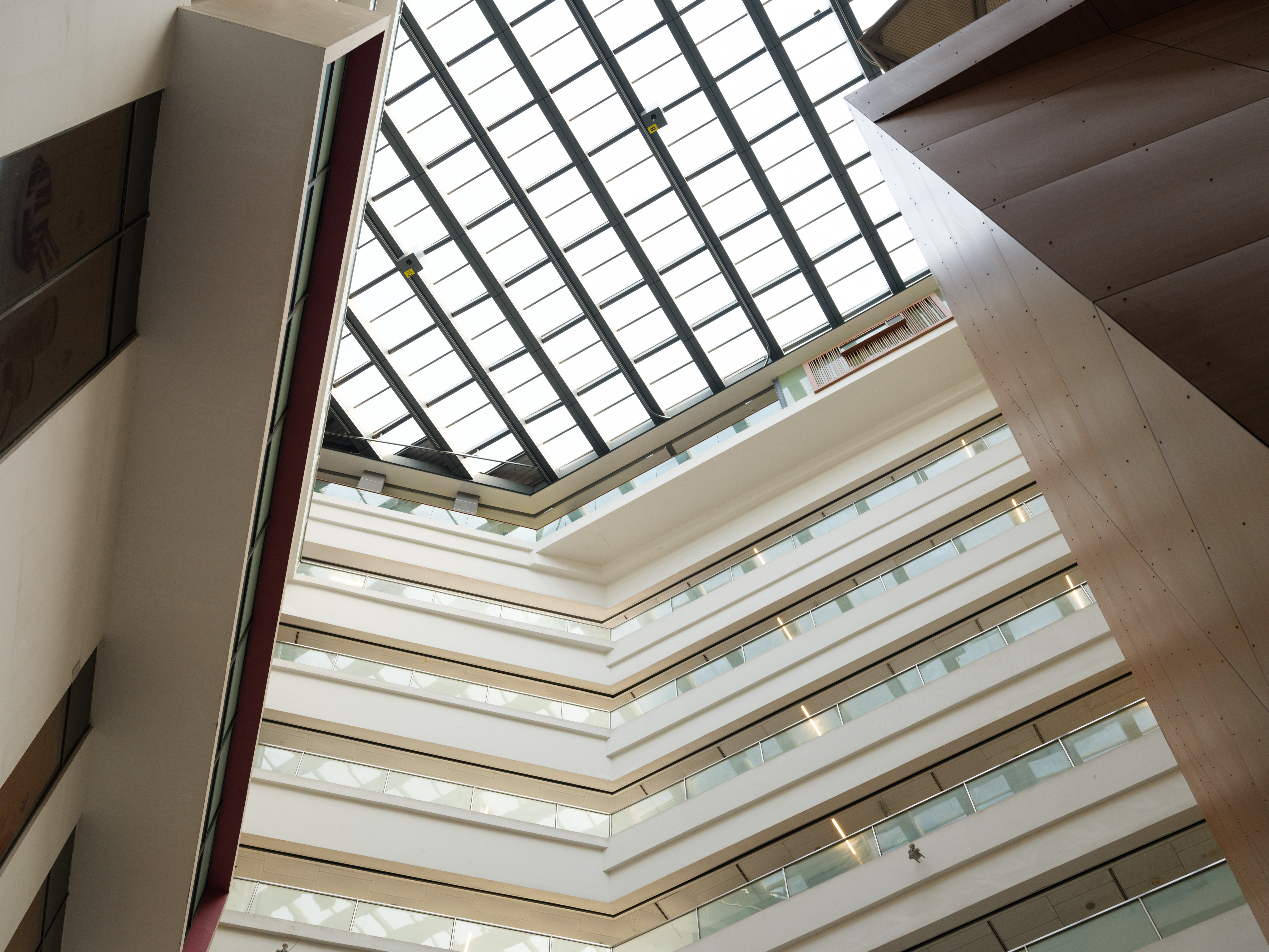 lifelong learning institute